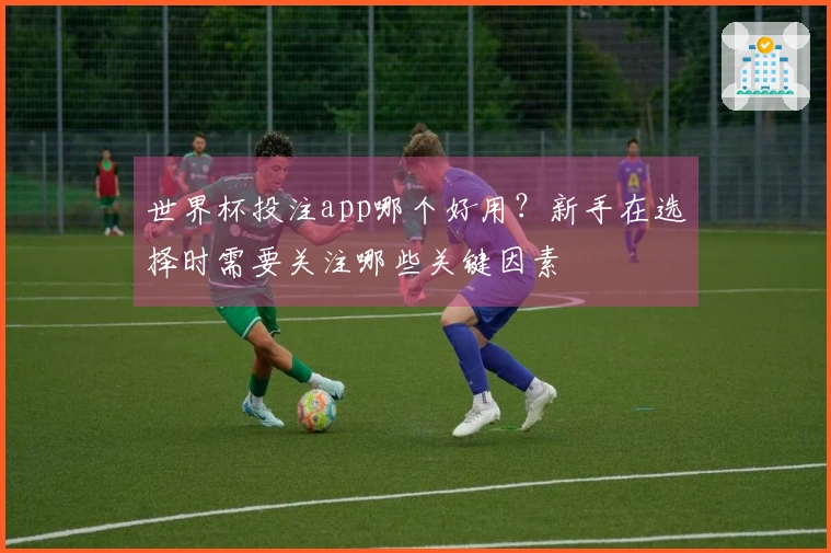 世界杯投注app哪个好用？新手在选择时需要关注哪些关键因素