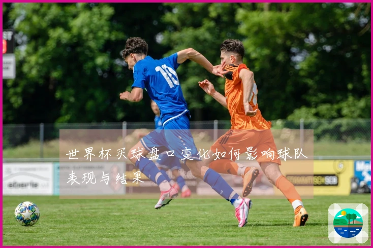 世界杯买球盘口变化如何影响球队表现与结果