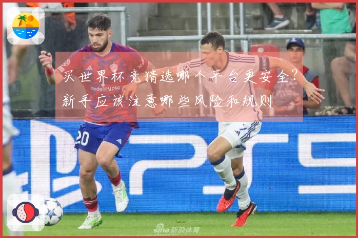 买世界杯竞猜选哪个平台更安全？新手应该注意哪些风险和规则
