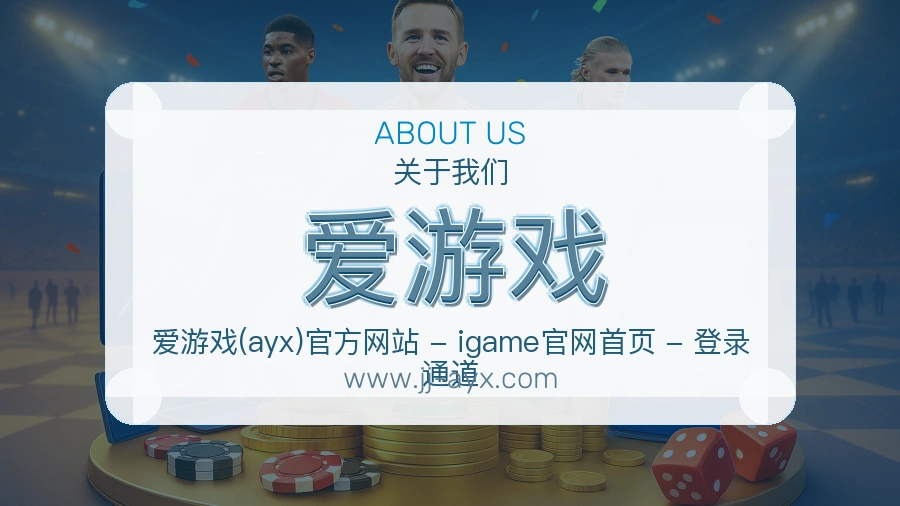 说明方式